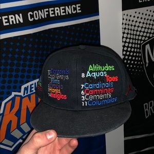 Limited Addition Jordan Fitted Flattop